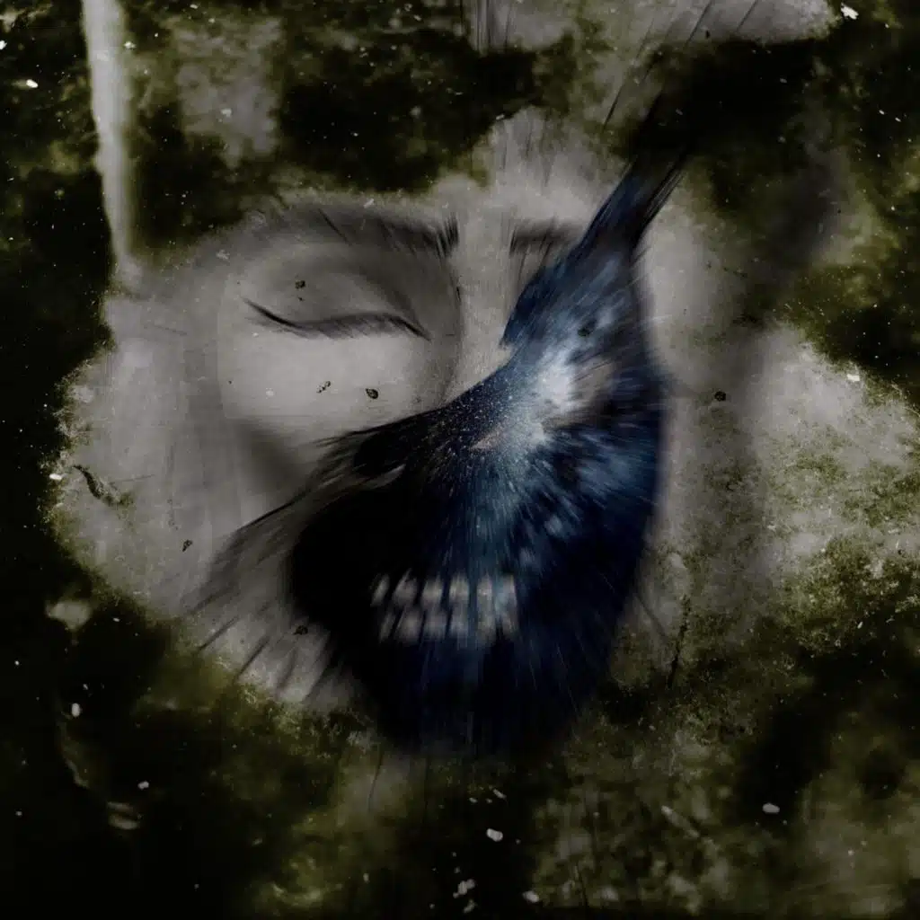 Of Wolves & Moles