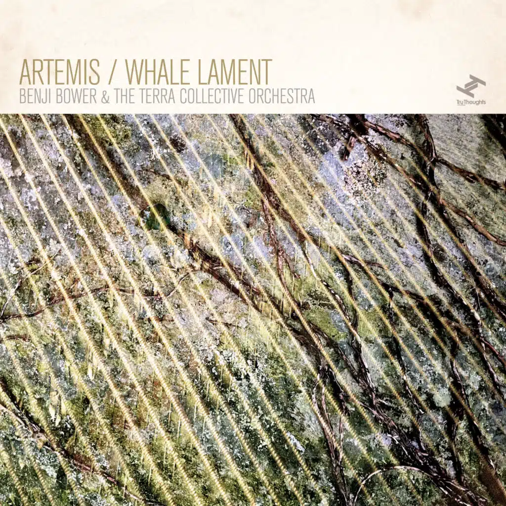 Artemis / Whale Lament