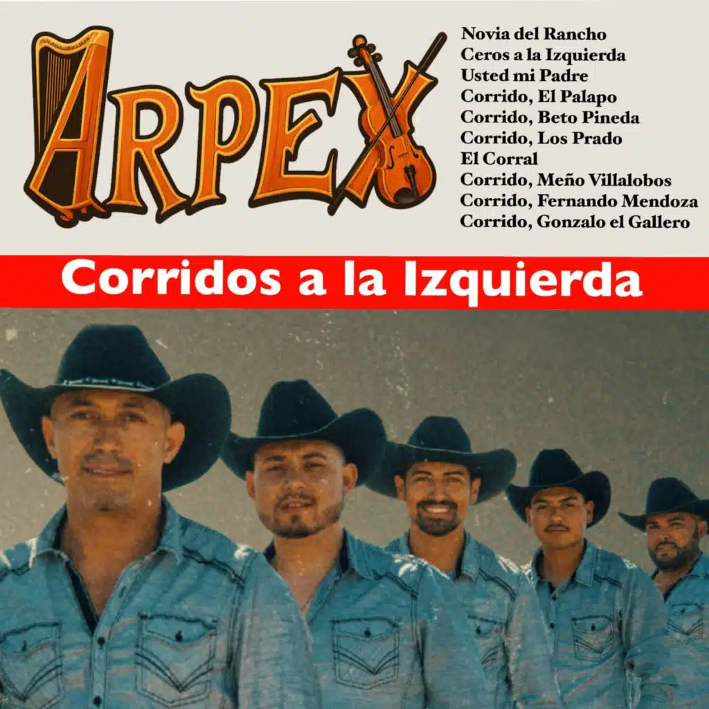 Arpex