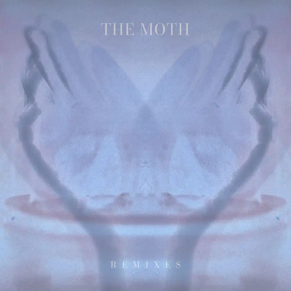 The Moth (Remixes)