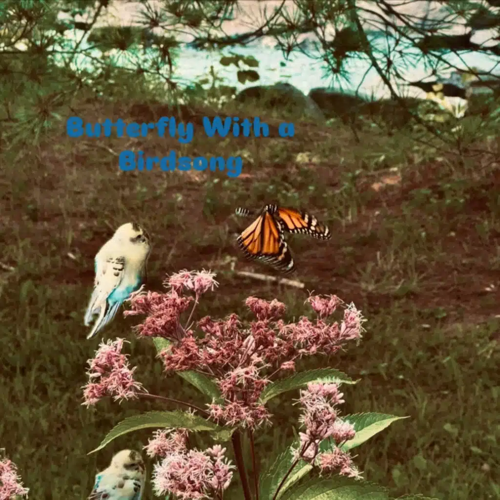 Butterfly With a Birdsong