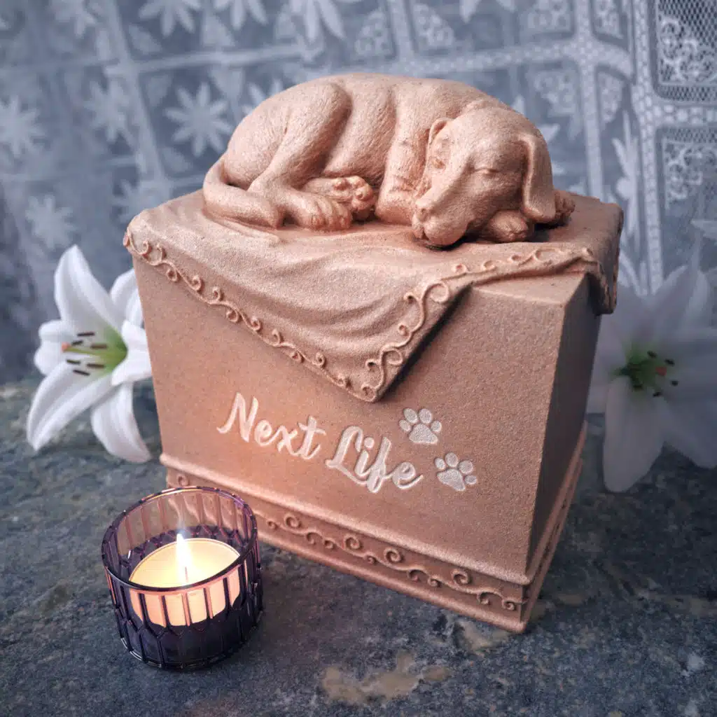 Esther (Gabber Modus Operandi Remix)