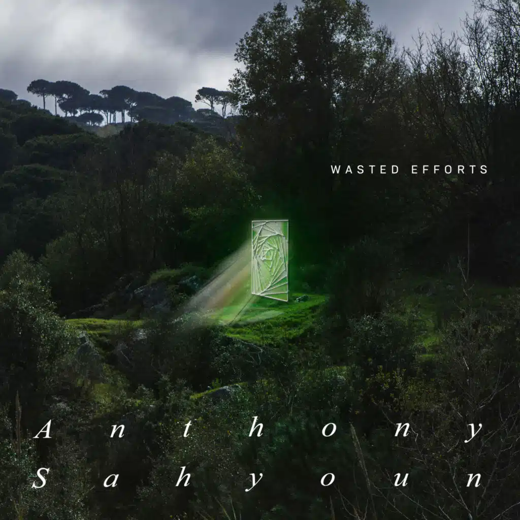 Wasted Efforts (feat. Julia Sabra)