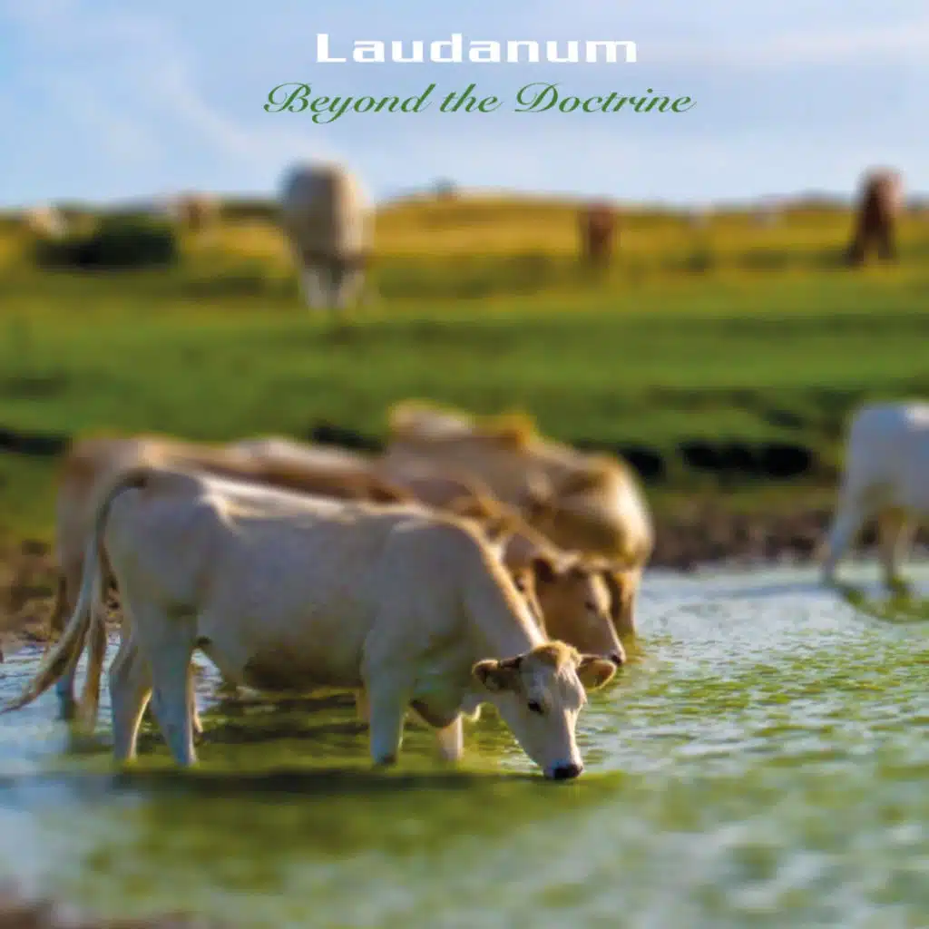 Laudanum