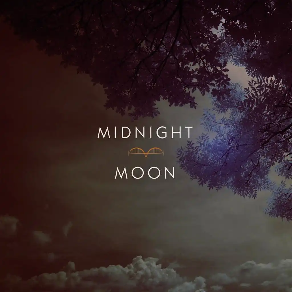 Midnight Moon (feat. Elleodin)
