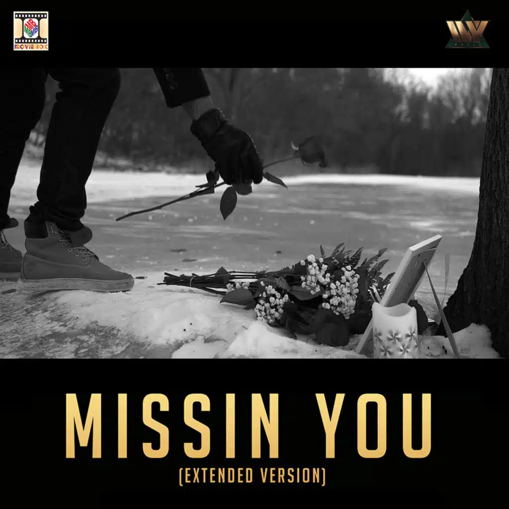 Missin You (feat. Rafaqat Ali Khan)