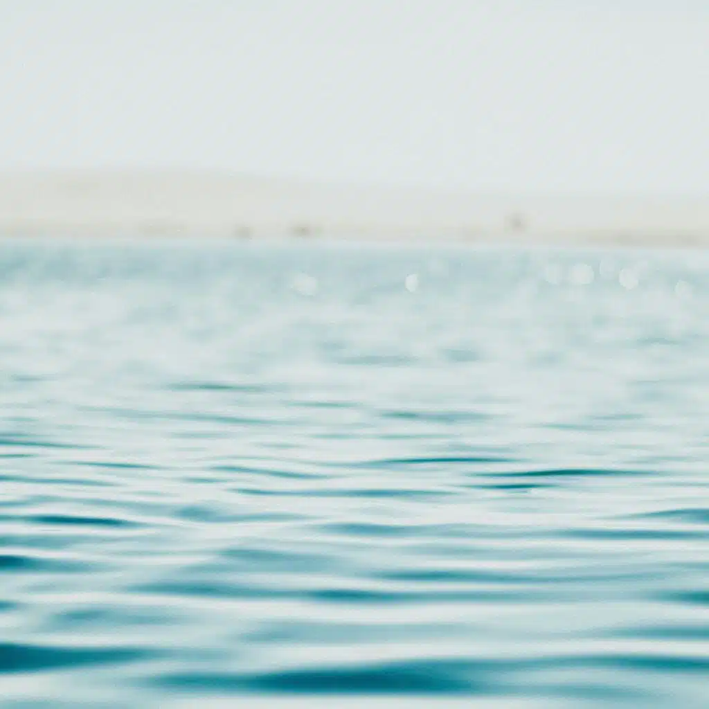 The Water Wells. The Heart Swells