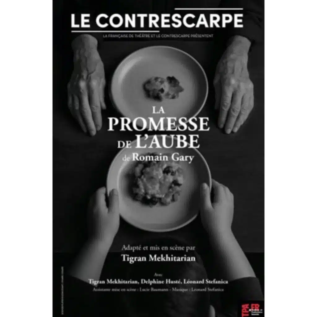 Théâtre / La promesse de l'aube - Delphine Husté