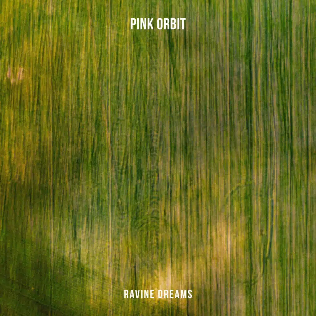 Pink Orbit