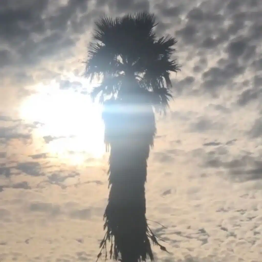 Way 2 High (feat. Smoking Stogies)