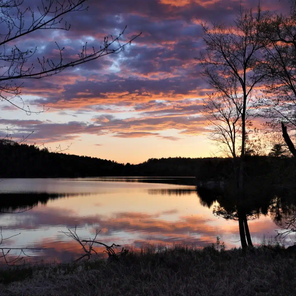 Medieval Sunset Music Fantasy for Gothic Lute, Celtic Violin, Folk Guitar & Flute