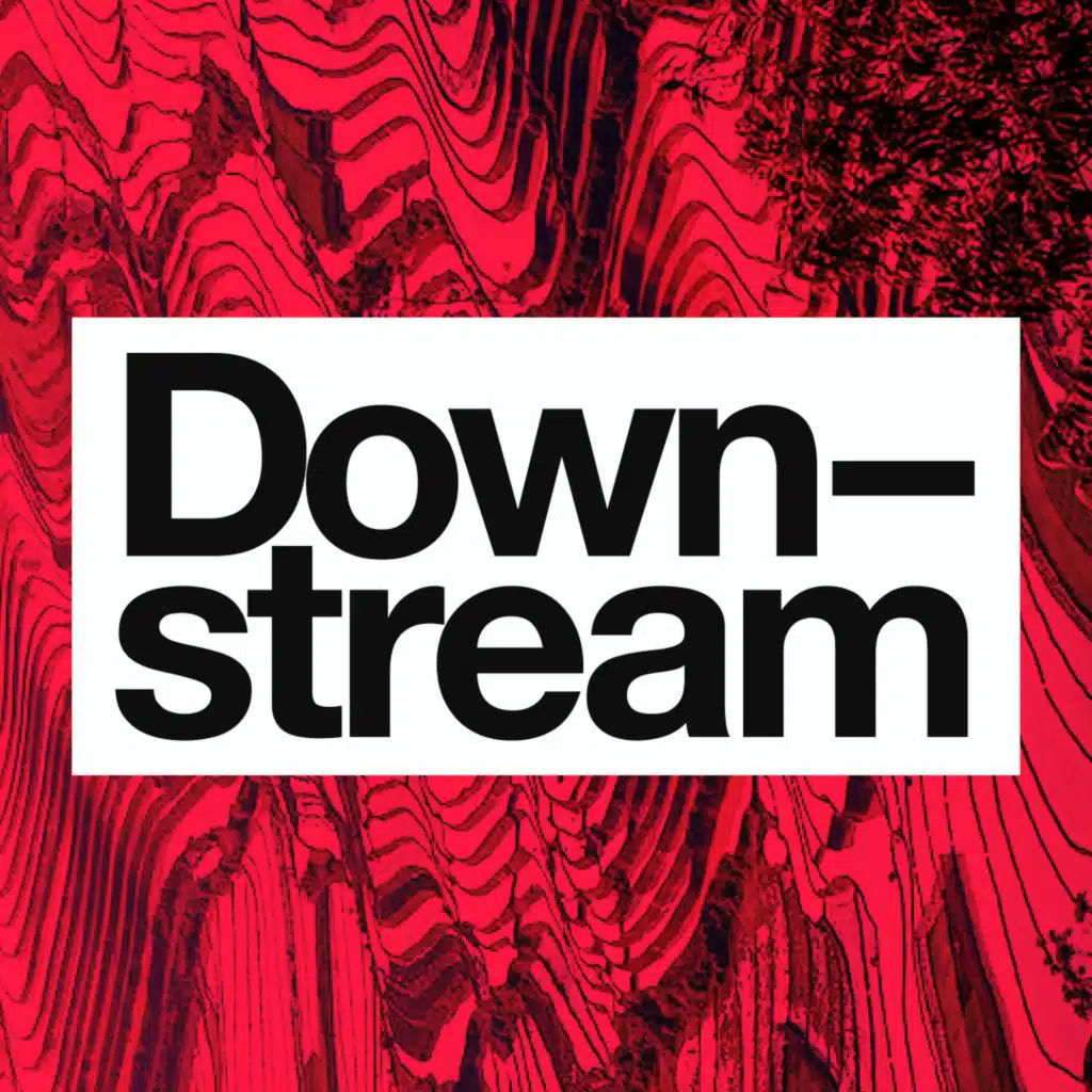Downstream: How to Create A Revolution w/ Roger Hallam
