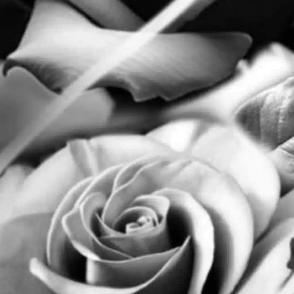 The One (feat. Aby Sandi)