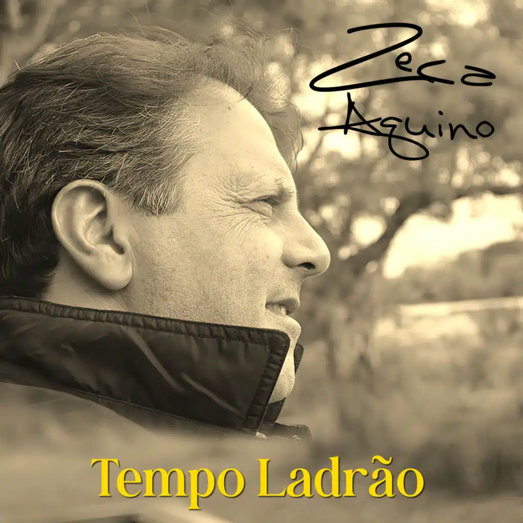 Tempo Ladrão