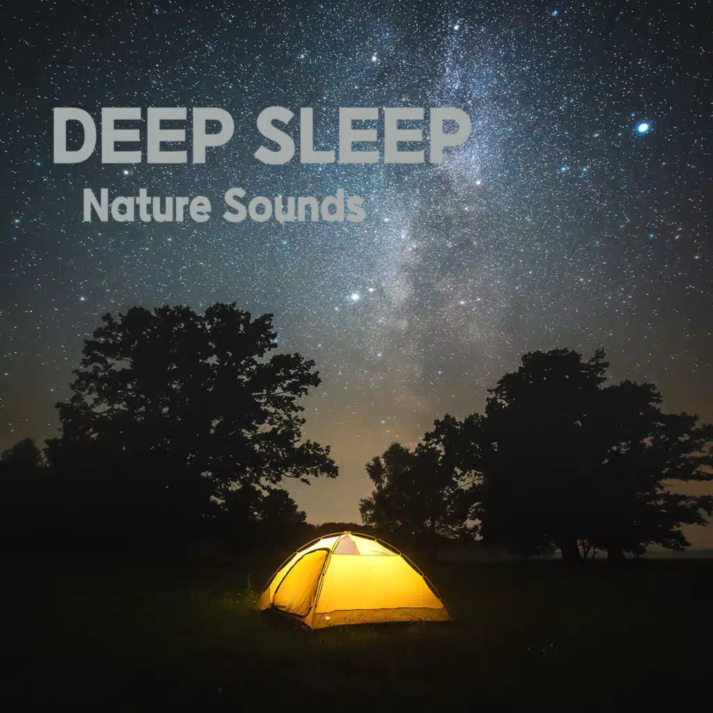 멜로디 이펙트 & 라임라이트