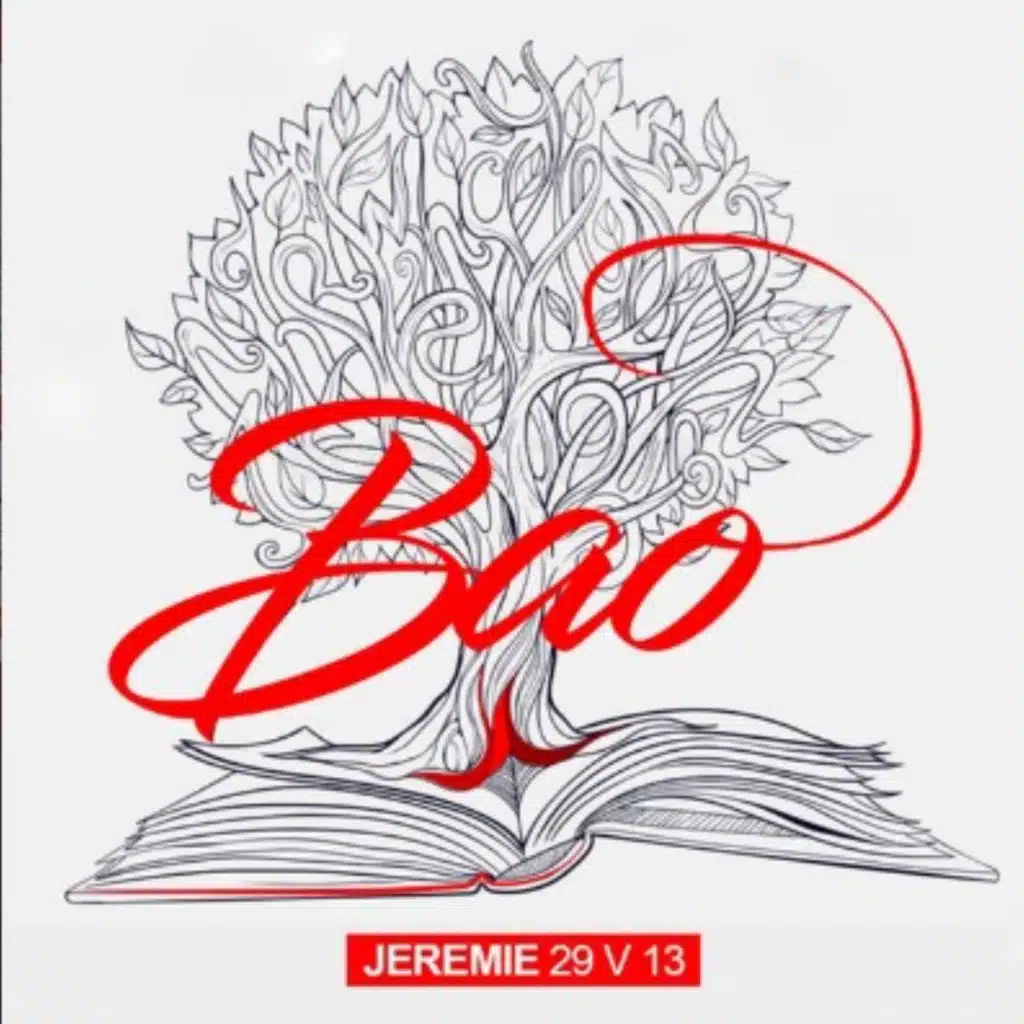 Jeremie 29 V 13