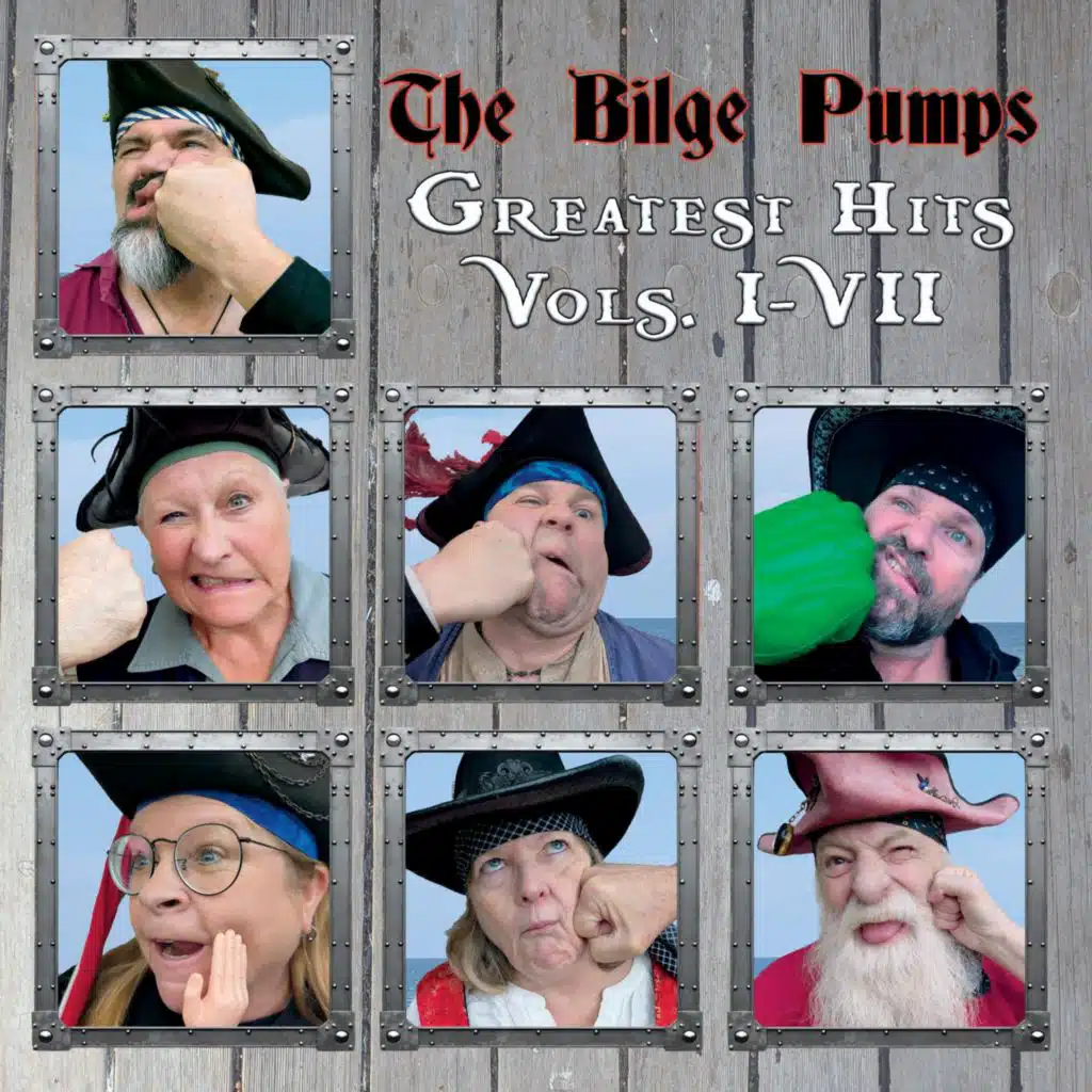 The Bilge Pumps