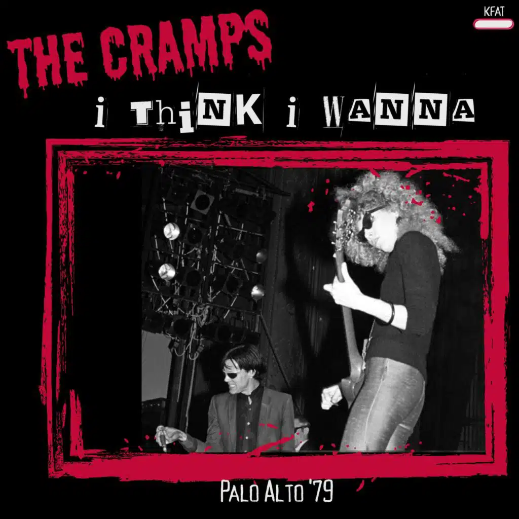 I Think I Wanna (Live Palo Alto '79)