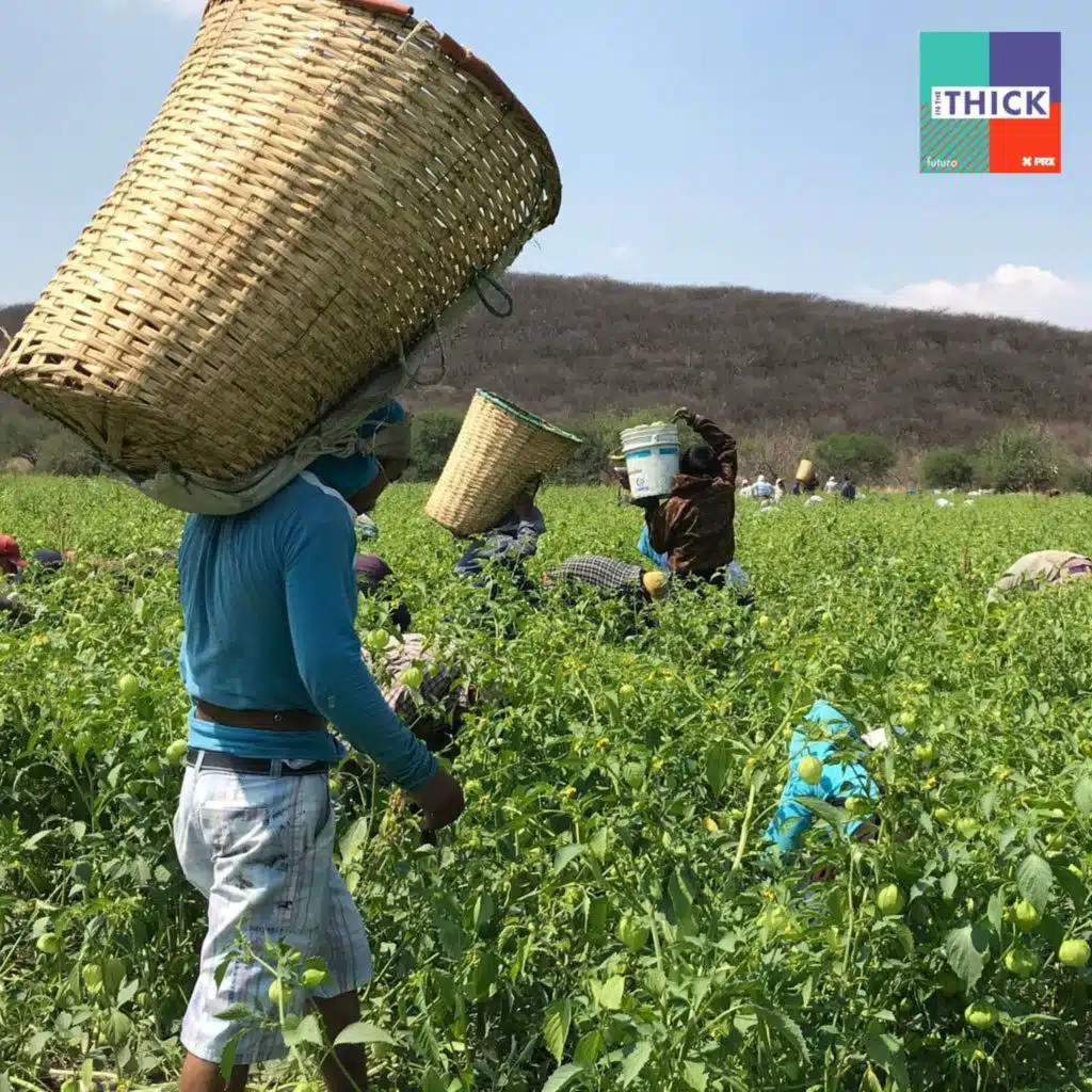 The Abuse of Migrant Workers