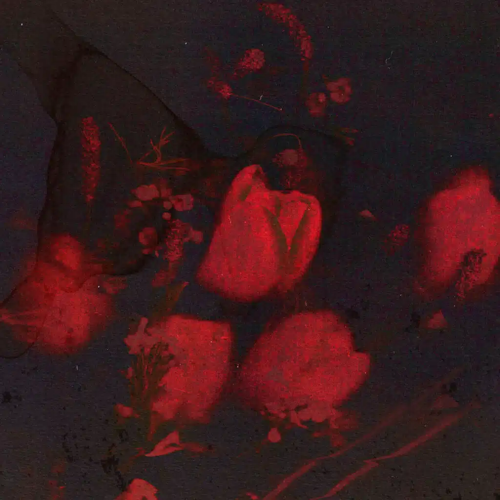 Dry Flower (Instrumental)