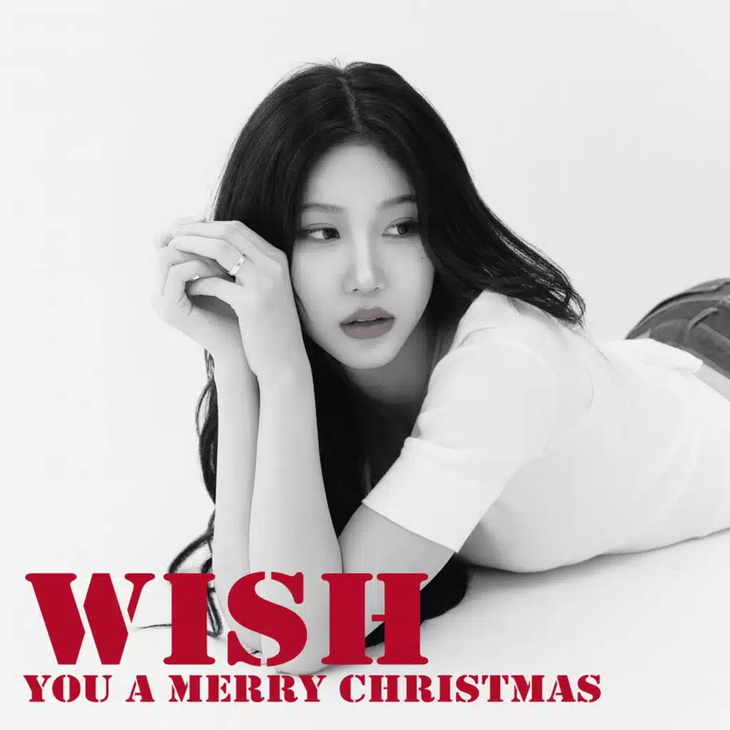 Wish you a Merry Christmas