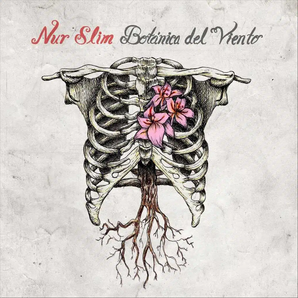 Botánica del Viento