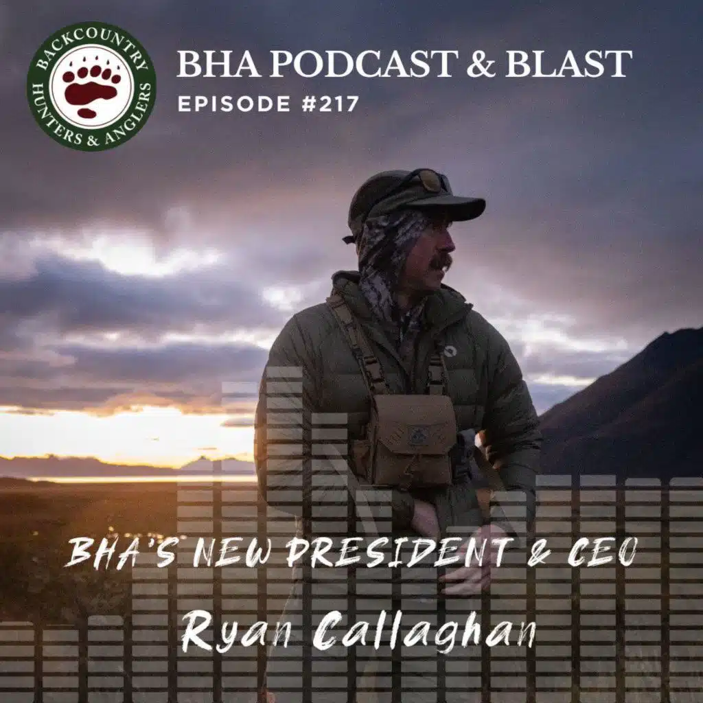 BHA's NEW President & CEO Ryan Callaghan