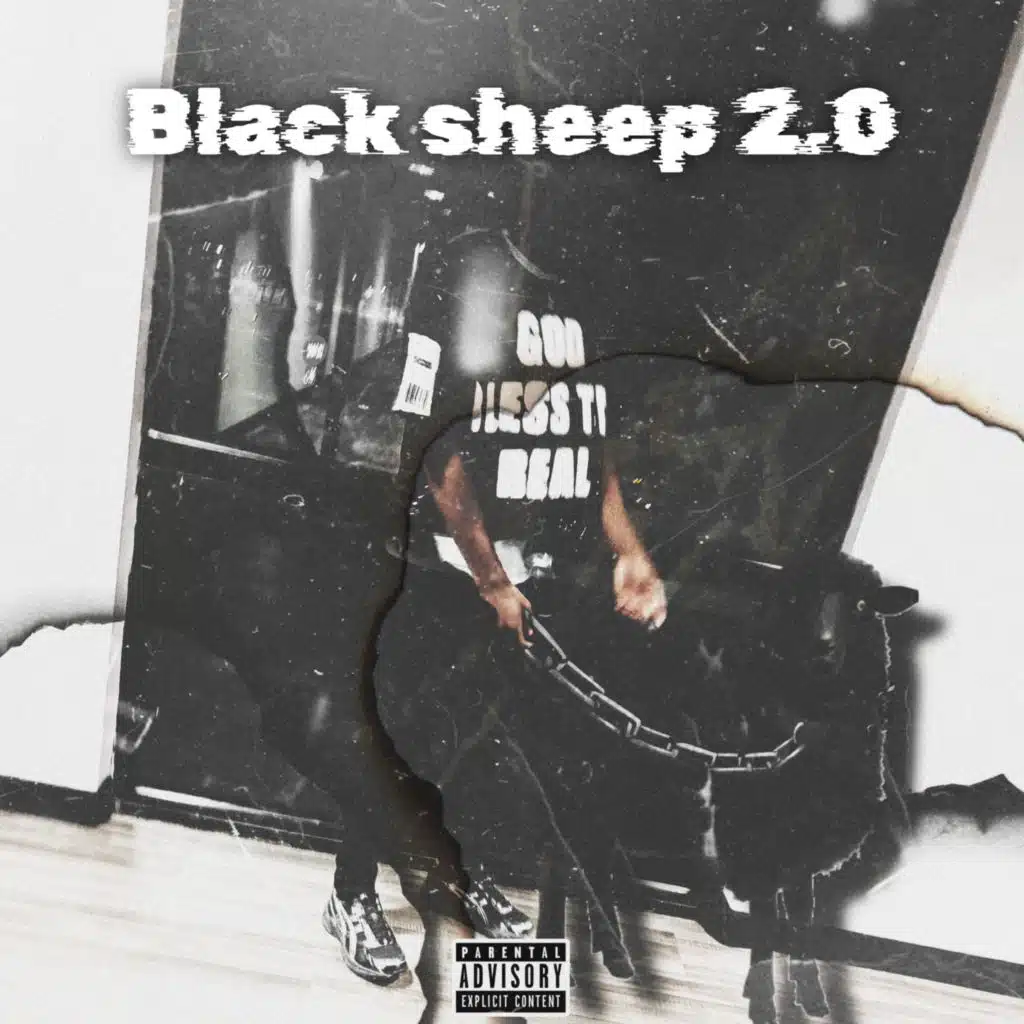 Blacksheep 2.0