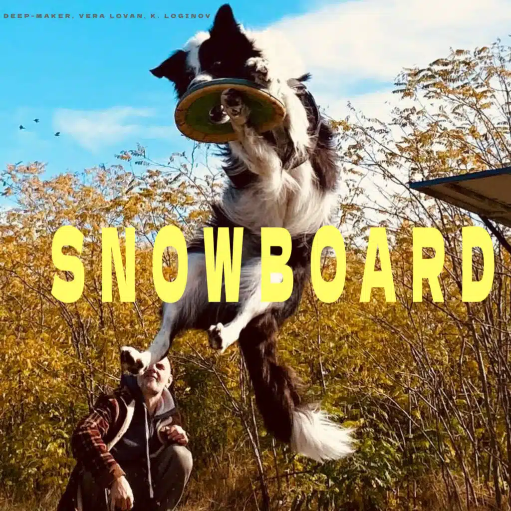 Snowboard
