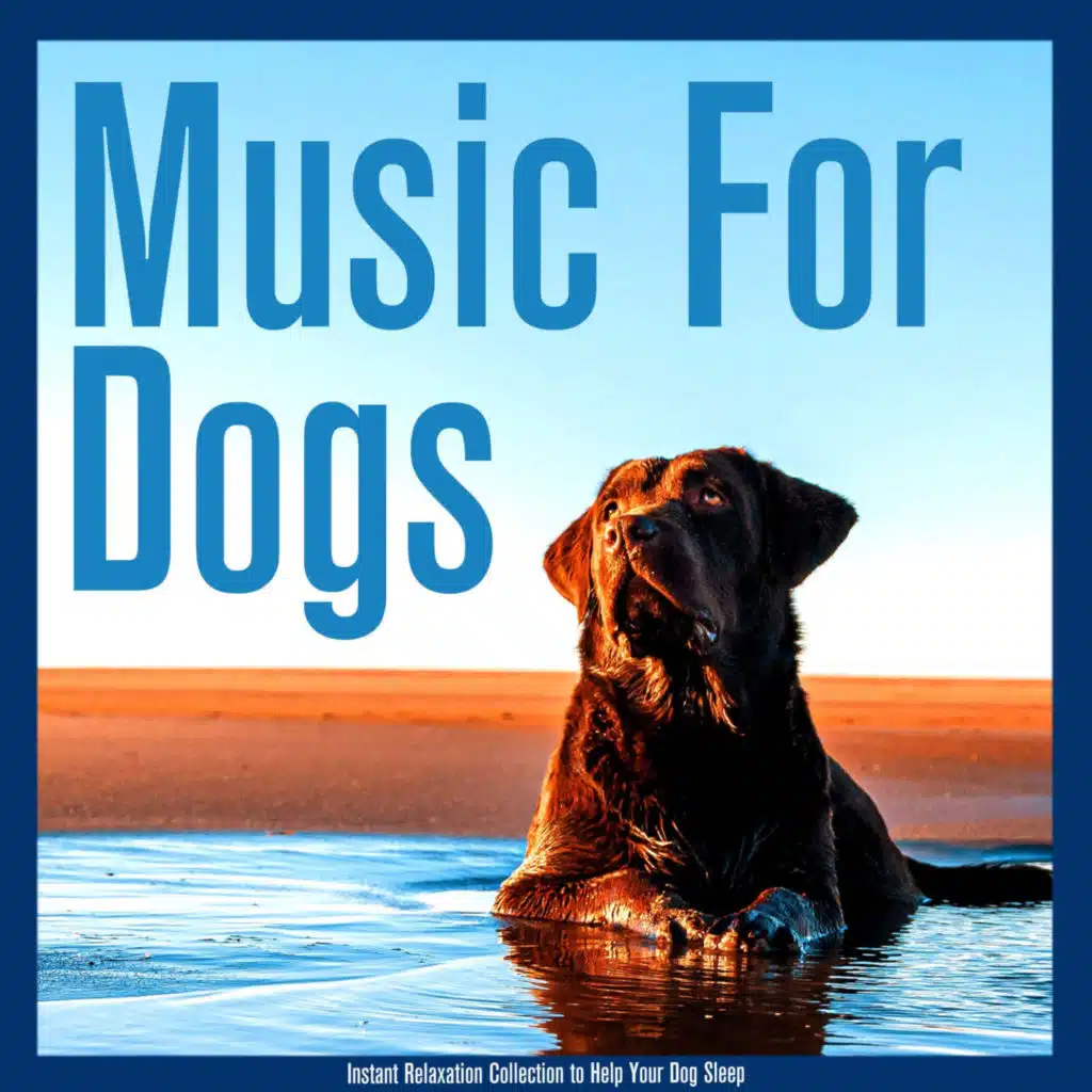 Relaxmydog, Dog Music Therapy & Dog Music