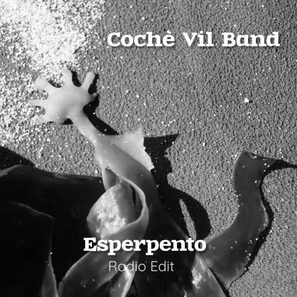 Cochè Vil Band