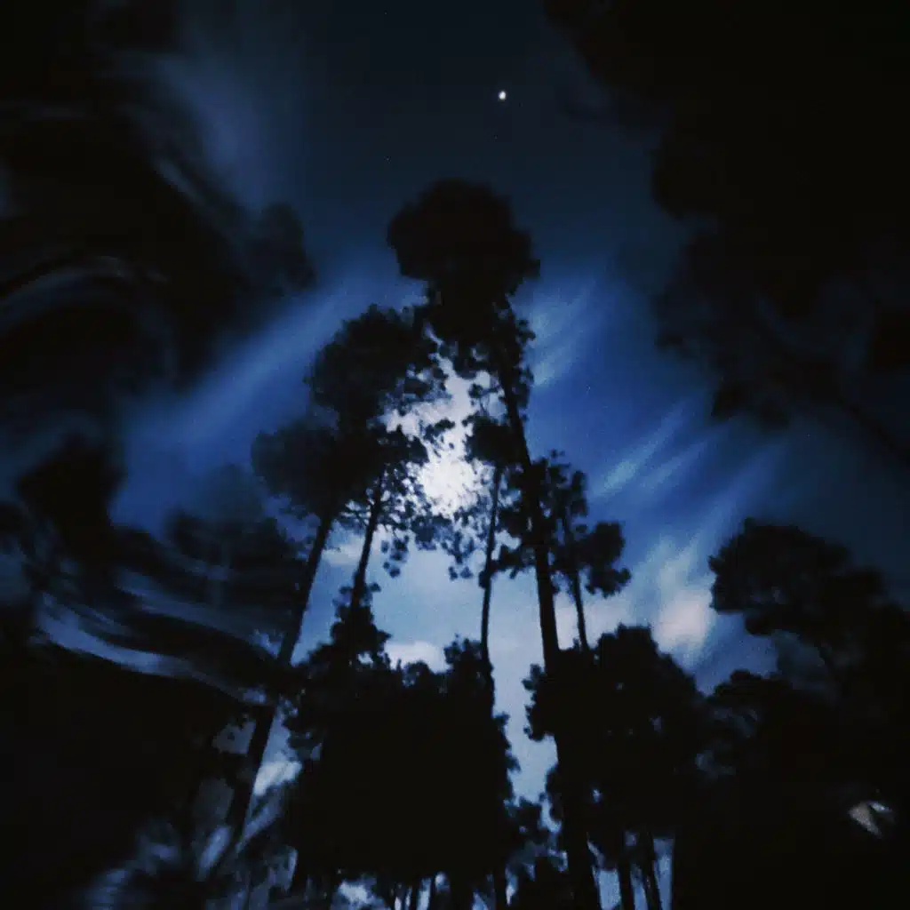 sorry (feat. Yung Caters)