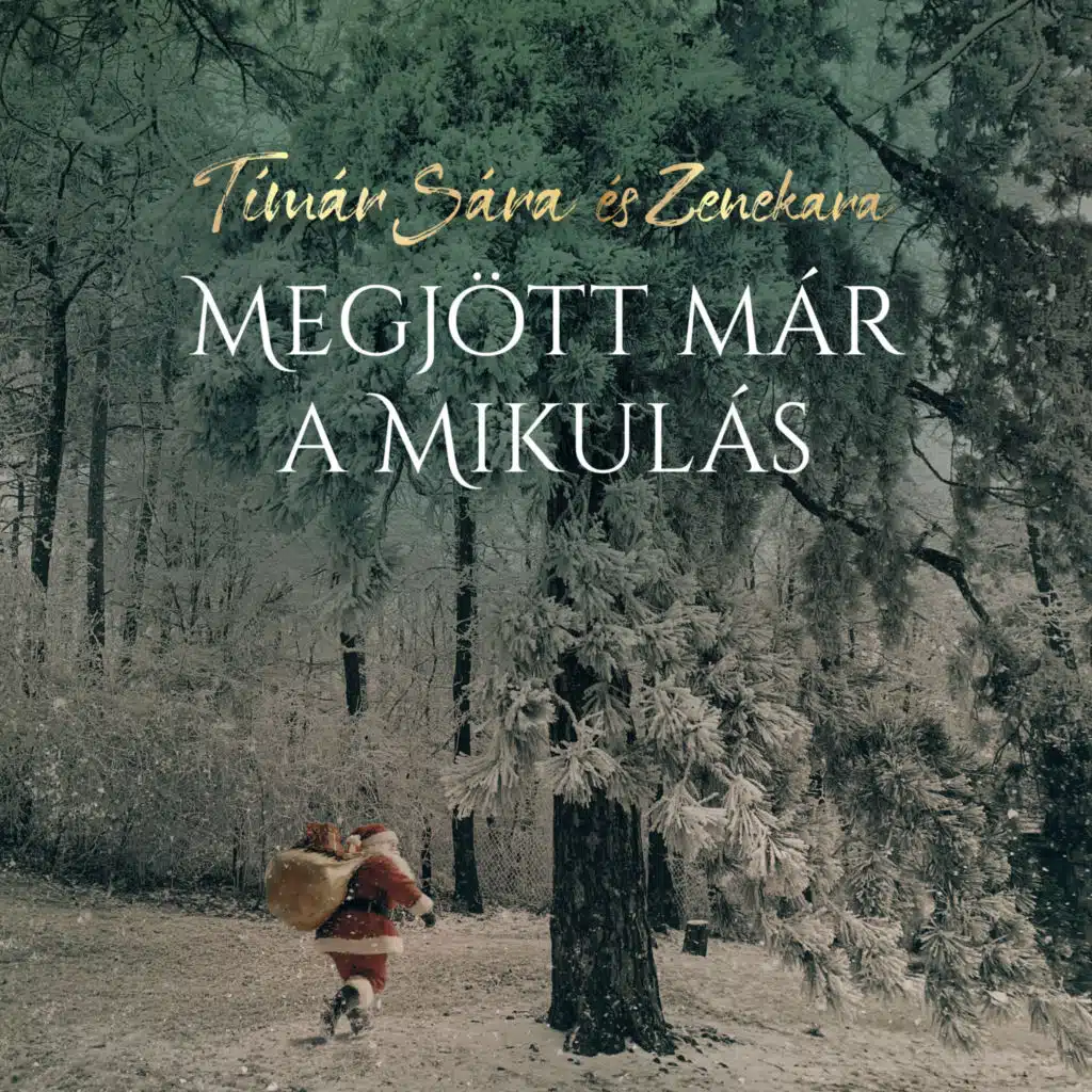 Tímár Sára és zenekara