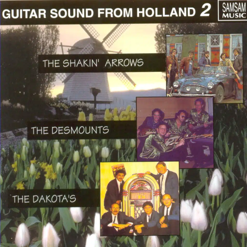Guitar Sound From Holland, Vol. 2 (Instr.)