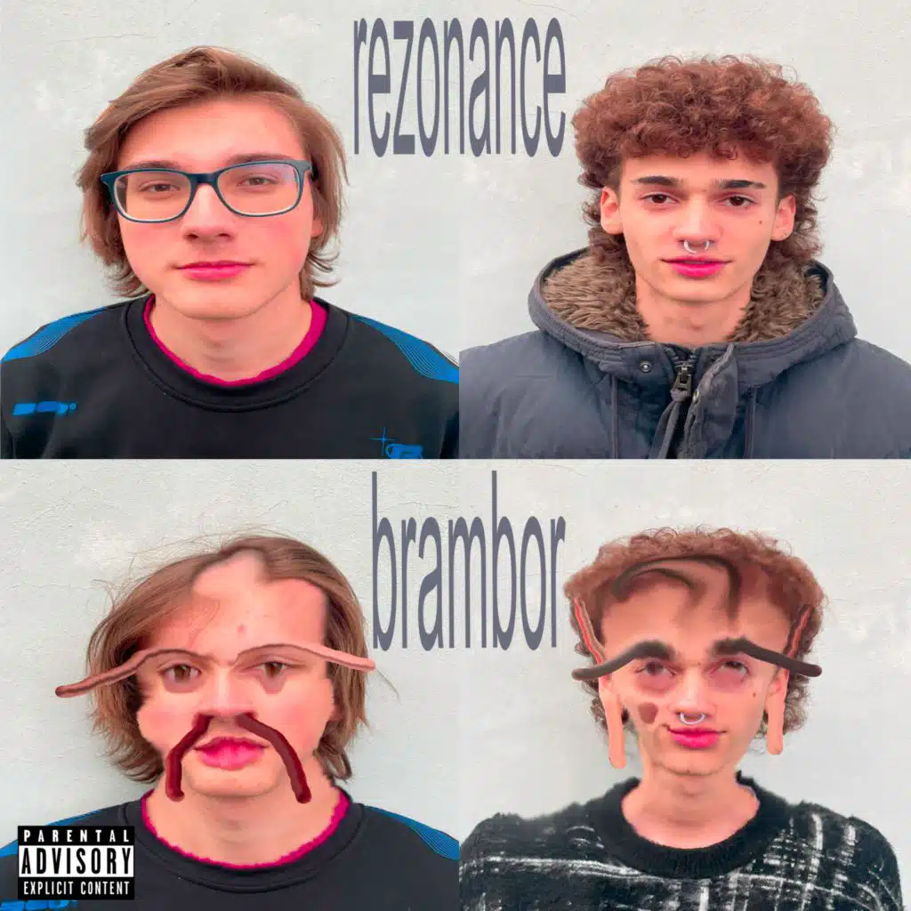 rezonance brambor