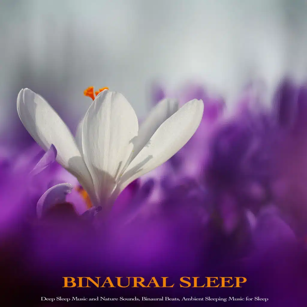 Binaural Beats Sleep