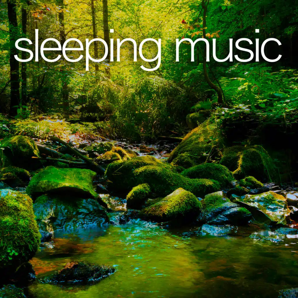 Soothing Bird Music For Sleep