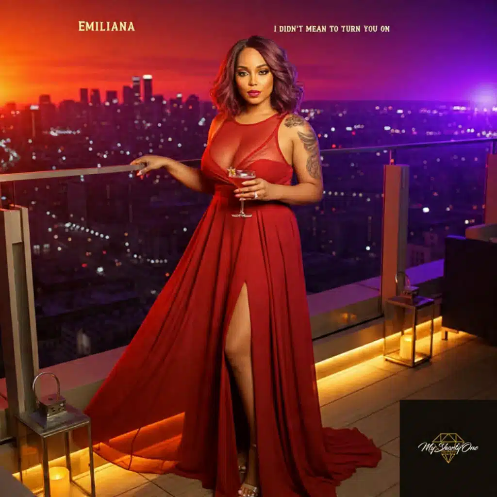 I Didn't Mean to Turn You On (Radio Mix)