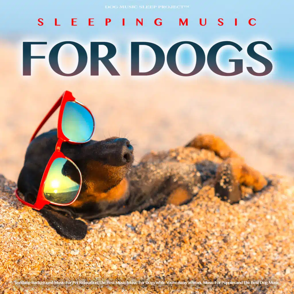 Music For Dogs Ears