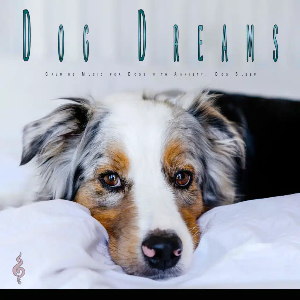 Dog Dreams: Calming Music for Dogs with Anxiety, Dog Sleep