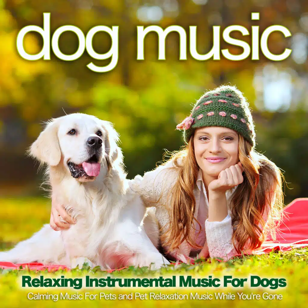 Calm Music For Dogs
