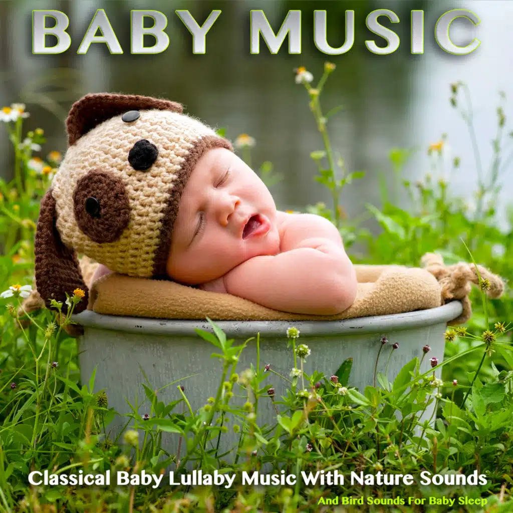 Pathetique - Beethoven - Classical Baby Lullaby - Nature and Bird Sounds