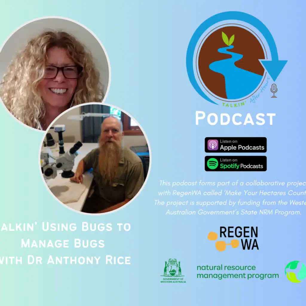 Talkin' Using Bugs to Manage Bugs