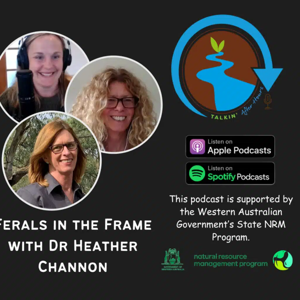Talkin' Ferals in the Frame - with Dr Heather Channon