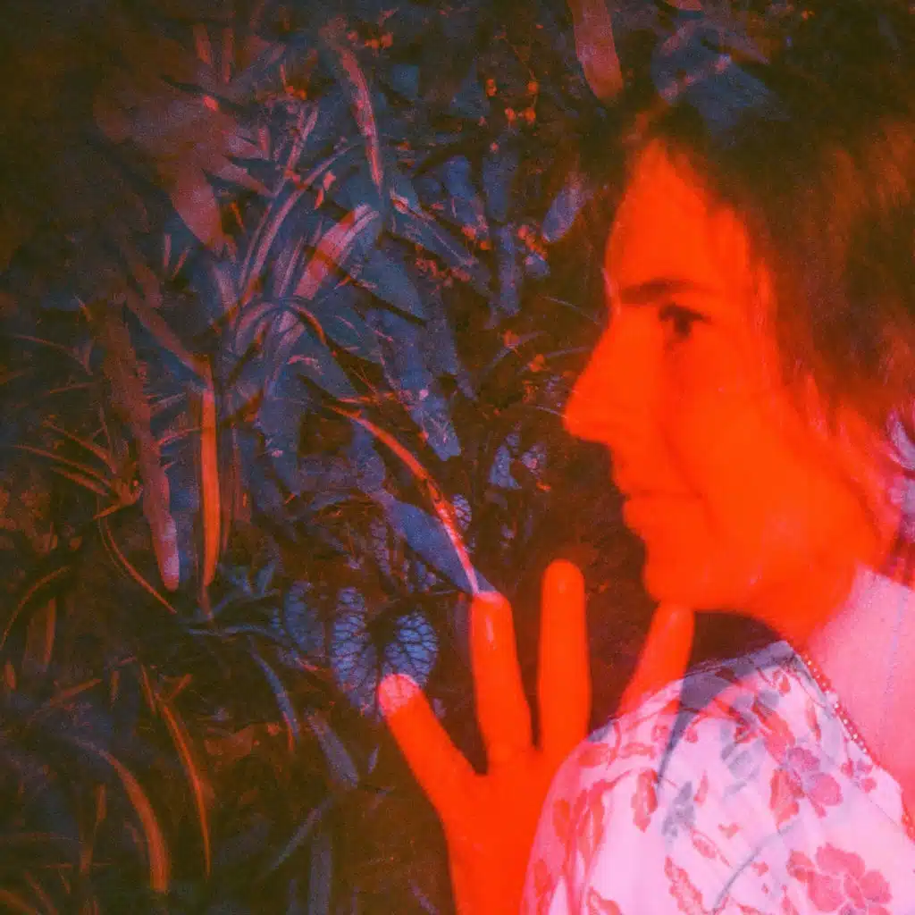 Sis and the Lower Wisdom