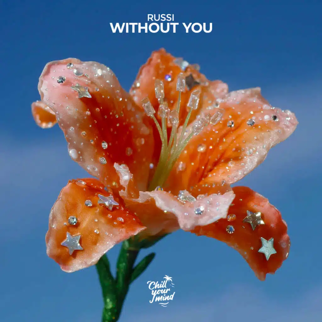 Without You