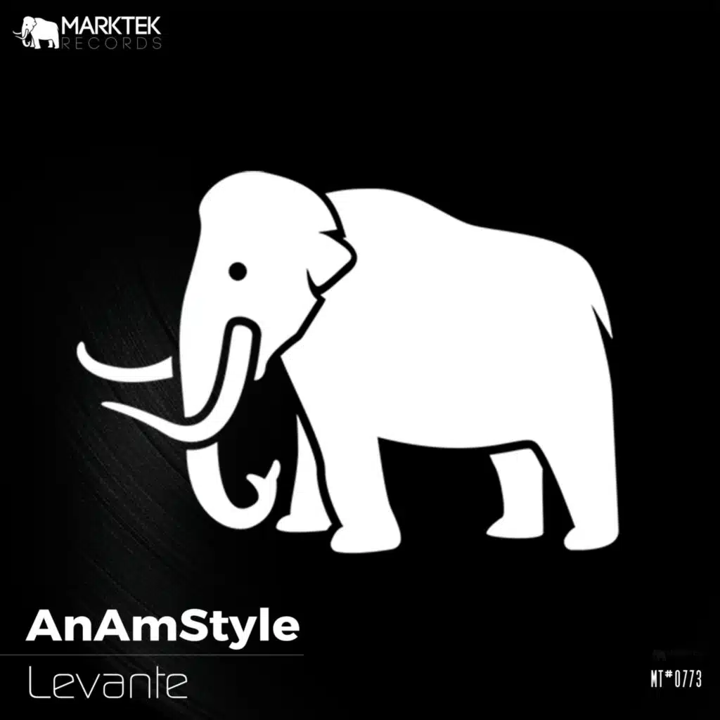 AnAmStyle