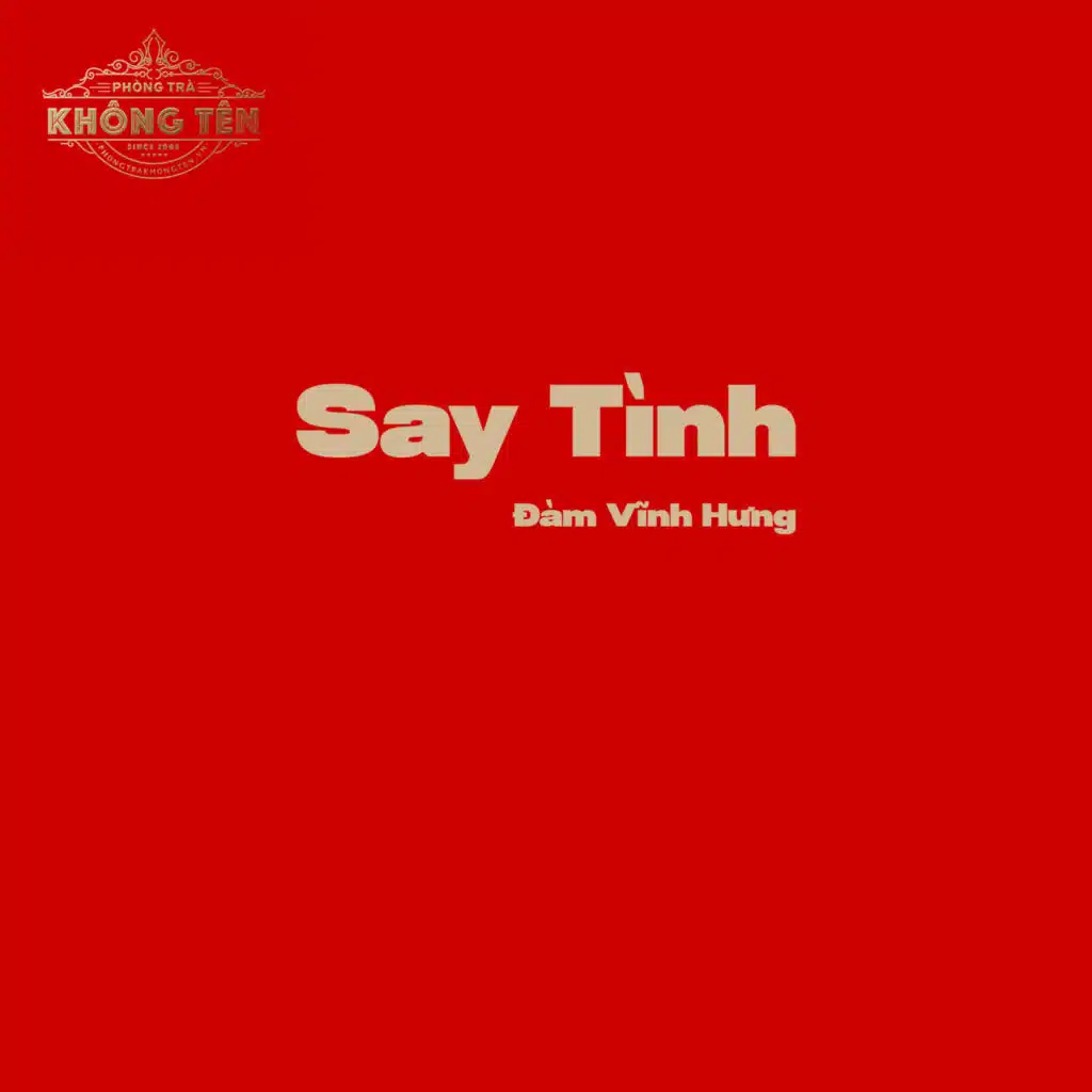 Say Tình (Live)