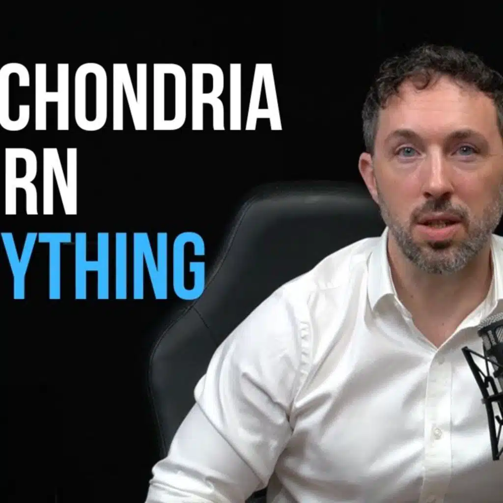 Mitochondria: Why They Control Everything in Human Health