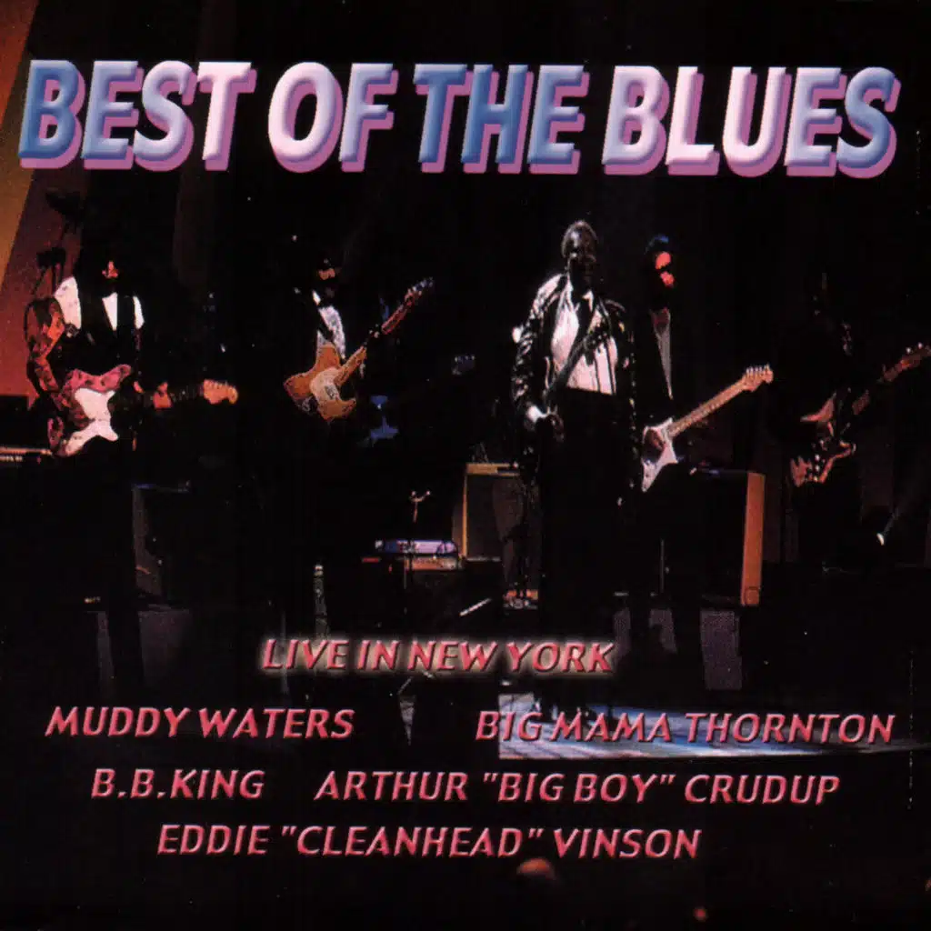 The Best Of The Blues-Live In New York
